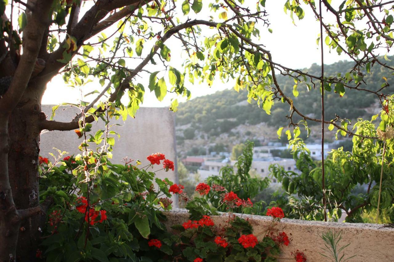 Mhna Guest House ‘Ajlūn Buitenkant foto