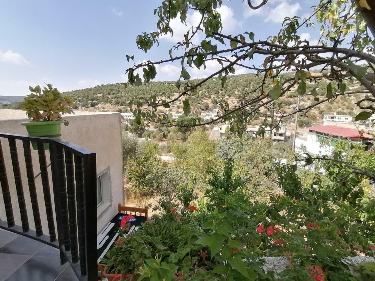Mhna Guest House ‘Ajlūn Buitenkant foto